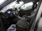 FORD Kuga 1.5 EcoBlue Titanium X 360 DISTR SPUR PDC