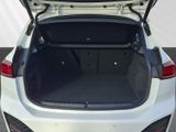 BMW 218 Active Tourer i M Sport adapt. M Fahrwerk DAB