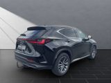 LEXUS NX 450h 450 h+ 4x4 Anhängerkupplung