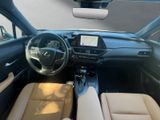 LEXUS UX 250 h F-Sport Design NAVI+CARPLAY+LENKRADH.