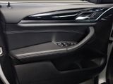 BMW X4 xDrive30d Leder