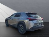LEXUS UX 250h Style Edition SITZ&LENKRADHEIZUNG+DAB