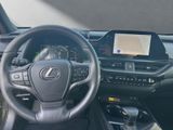 LEXUS UX 250H*STYLE EDITION*CARPLAY*15 JAHRE GARA