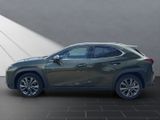 LEXUS UX 250h F Sport Design 15J-GARANTIE*