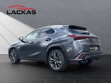 LEXUS UX 300 h F Sport Design Tech-Paket