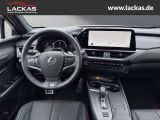 LEXUS UX 300h F-Sport Navi LED ACC Apple CarPlay