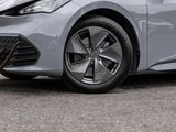 CUPRA Born 150 kW // SPUR SHZ PDC