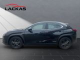 LEXUS UX 250h*LAUNCH*SHZ*CD*NAVI* 15J-GARANTIE*