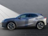 LEXUS UX 250 h STYLE Edition 15J-GARANTIE