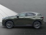 LEXUS NX 350h h 243 PS Executive Inter ieur Paket + Te