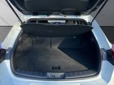 LEXUS UX 250h*F-Sport-D*1HD*SHZ*CARPLAY* 15J-GARANTIE*