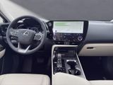LEXUS NX 350h Business Connect Paket+360CAM+Sitzbelüf.
