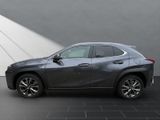 LEXUS UX 250h*FSPORT-D.*ALLW.*1HD*NAVI* 15J-GARANTIE*