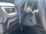 LEXUS UX 250 h*EXECUTIVE*HUD*LEDER*SCHIEBEDACH