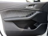 BMW 220i Active Tourer Premium-Paket LED AHK LM 17