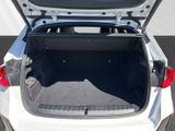 BMW iX1 xDrive30 M-SportPRO Adp.LED ACC Pano AHK HUD