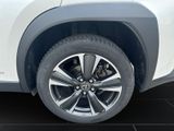 LEXUS UX 250h*STYLE*1HD*CARPLAY*SHZ* 15J-GARANTIE*