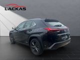 LEXUS UX 250h*LAUNCH*SHZ*CD*NAVI* 15J-GARANTIE*