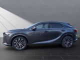 LEXUS RX 350 350 h 4x4 Executive Line Panoramadach