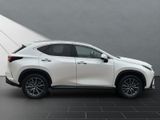 LEXUS NX 350h 350 h Interieur- & Technikpaket