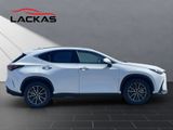 LEXUS NX 450h + Executive Interieur+Technikp+360CAM