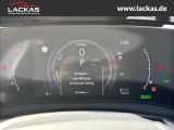 LEXUS NX 350 h 243 PS Executive *15-J ahre Garantie* I