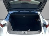 RENAULT Megane Electric EV60 220HP E-Tech Techno 220 Comfo