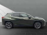 LEXUS UX 250H*1HAND*TOTW*SCHECKHEFT*
