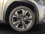 LEXUS UX 250h*STYLE*1HD*CARPLAY*PDC 15J-GARANTIE