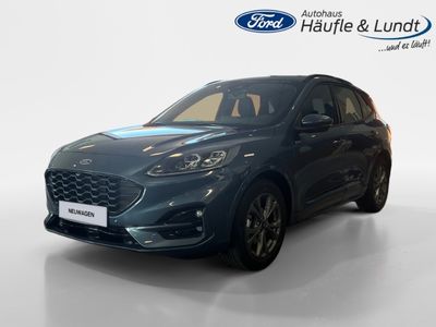 FORD Kuga ST-Line X 1.5 Benzin Navi digitales Cockpit Soundsystem B & O LED Kurvenlicht ACC
