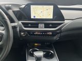 LEXUS UX 250h*F-SPORT-D*1.HD*ALLW.REIF** 15J-GARANTIE*