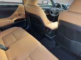 LEXUS ES 300 300h Business Line