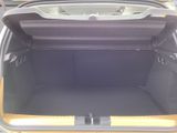DACIA Sandero Stepway Extreme+ SHZ+RFK+PDC