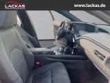 LEXUS UX 250h 250 h 250h*LED*KAMERA* TOP*TWW*DAB*SERVI