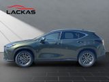 LEXUS NX 450h + Executive PANO Interieur+Technologie P