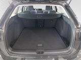 VW Golf VIII Variant Life 1.5 TSI SITZHZ+ACC+PDC