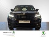 SKODA Kodiaq 2.0 TDI Sportline Sportline 4x4 (EURO 6d-TEMP)