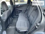 FORD Kuga Titanium El. Heckklappe Winterpaket Allwetterreifen