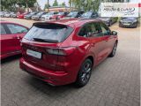 FORD Kuga Plug-In Hybrid ST-Line X Allwetterreifen