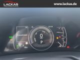 LEXUS ES 300 H*BUSINESS*LEDER*EL.SIT ZE*SCHIEBEDACH*