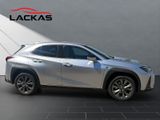 LEXUS UX 250h*F-SPORT-D*1.HD*NAVI*SHZ*CARPLAY*PDC*