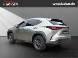 LEXUS NX 350h 243 PS Executive Inter ieur+ Techno Pake