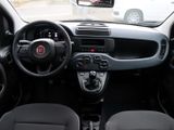 FIAT New Panda Pandina Pop