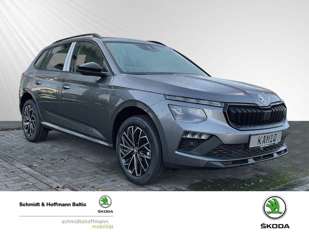 SKODA Kamiq Selection Einparkhilfe Fenster el.