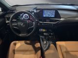 LEXUS UX 250 h F-Sport Design Allwetter