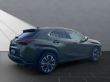 LEXUS UX 250 h*LED*TOP* KAMERA*NAVI*FACELIFT
