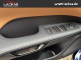 LEXUS RX 450 h+ F Sport Design Panoramadach