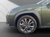 LEXUS UX 250h F-SPORT Design ALLWETTER+1.Hand