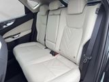 LEXUS NX 350h Business Connect Paket+360CAM+Sitzbelüf.