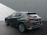 LEXUS UX 250h*FSPORT-D*1.HD*ALLW.REIF*SHZ* NAVI*CARPL*